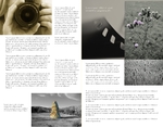 Urban Art Half Fold Brochure
