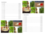 Free Mind Half Fold Brochure