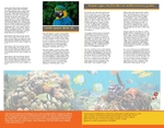 Pet Store Half Fold Brochure