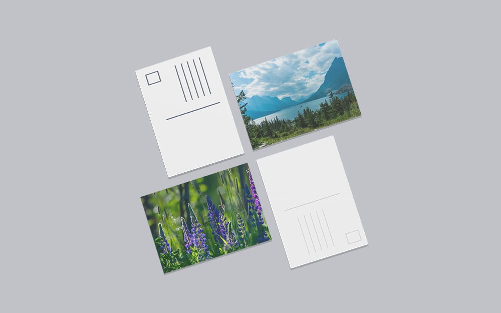 Postcard Printing 