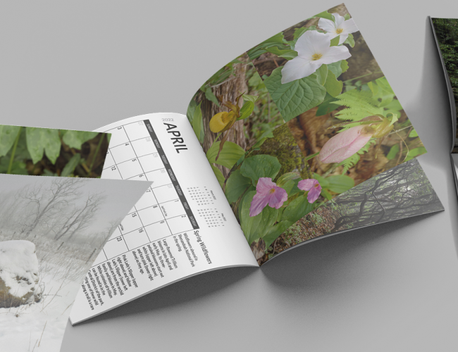 Photography Calendar Design Shenandoah Treasures